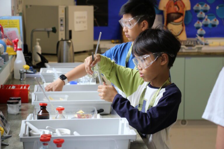 STEM Summer School Featured Image